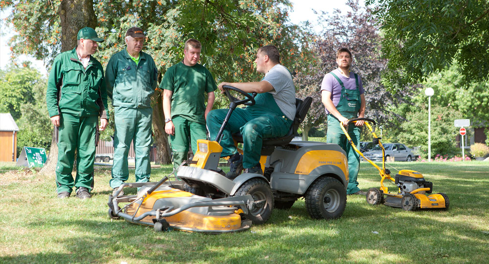 Ein Bild aus dem Bereich Gartenbau.