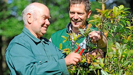 Auswahlbild für den Bereich Gartenbau.